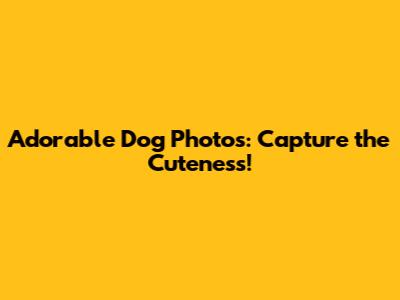 Adorable Dog Photos: Capture the Cuteness!