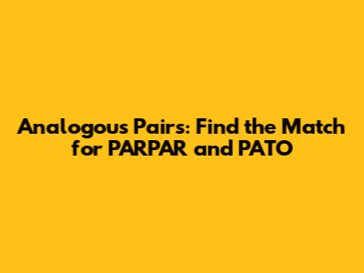 Analogous Pairs: Find the Match for PARPAR and PATO