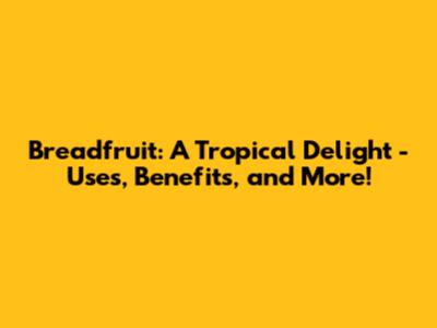 Breadfruit: A Tropical Delight - Uses, Benefits, and More!