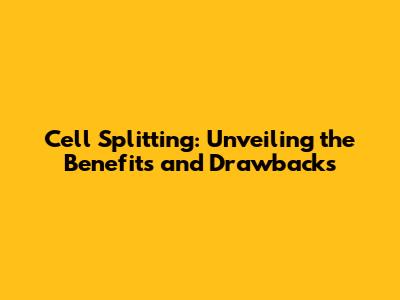 Cell Splitting: Unveiling the Benefits and Drawbacks