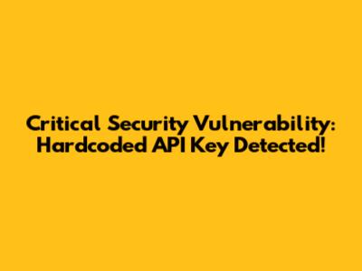 Critical Security Vulnerability: Hardcoded API Key Detected!