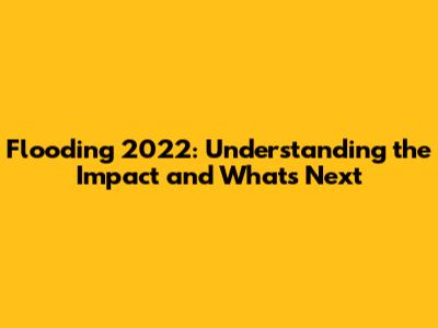 Flooding 2022: Understanding the Impact and What's Next