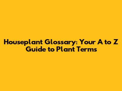 Houseplant Glossary: Your A to Z Guide to Plant Terms