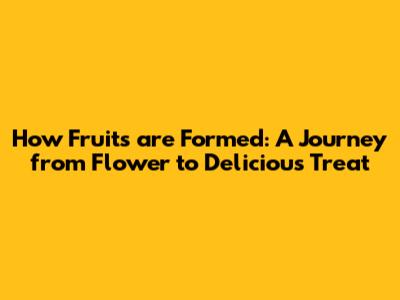 How Fruits are Formed: A Journey from Flower to Delicious Treat