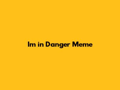 I'm in Danger Meme