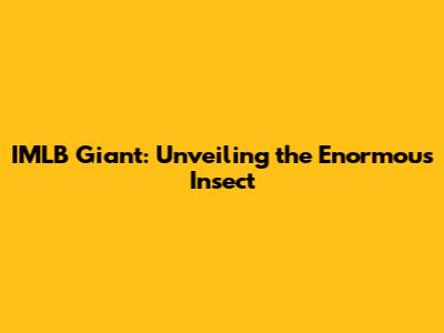 IMLB Giant: Unveiling the Enormous Insect