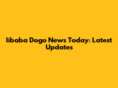 Iibaba Dogo News Today: Latest Updates