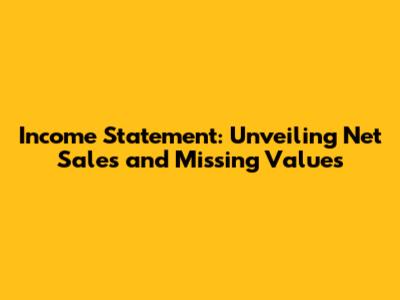 Income Statement: Unveiling Net Sales and Missing Values