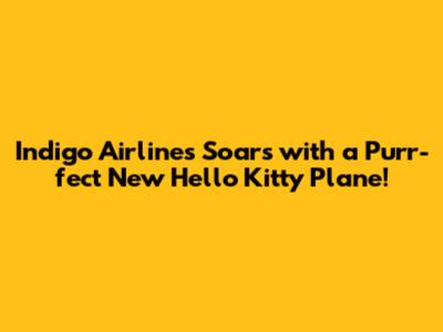 Indigo Airlines Soars with a Purr-fect New Hello Kitty Plane!