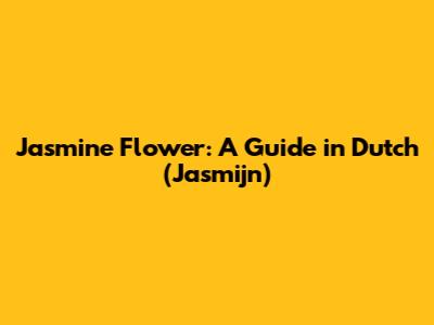 Jasmine Flower: A Guide in Dutch (Jasmijn)