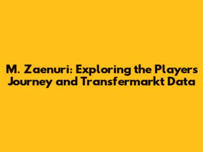 M. Zaenuri: Exploring the Player's Journey and Transfermarkt Data