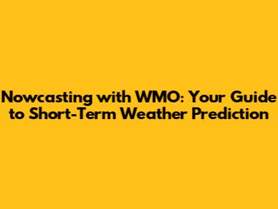 Nowcasting with WMO: Your Guide to Short-Term Weather Prediction