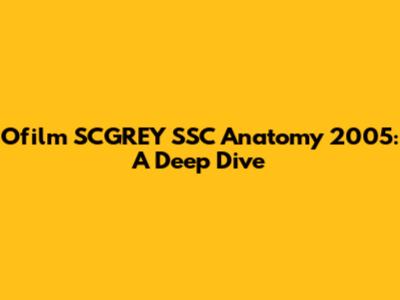Ofilm SCGREY SSC Anatomy 2005: A Deep Dive
