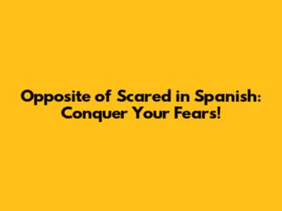 Opposite of Scared in Spanish: Conquer Your Fears!