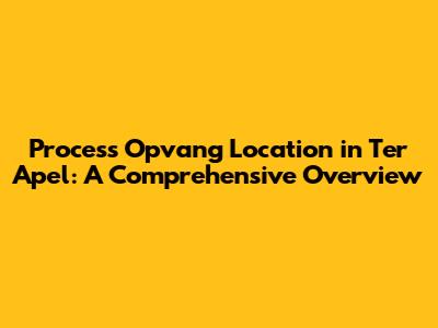 Process Opvang Location in Ter Apel: A Comprehensive Overview