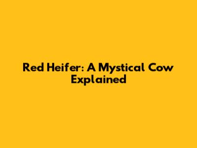 Red Heifer: A Mystical Cow Explained