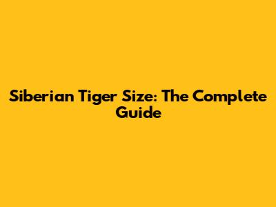 Siberian Tiger Size: The Complete Guide