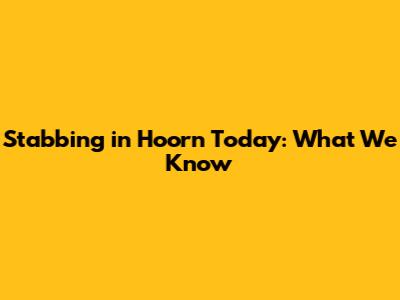 Stabbing in Hoorn Today: What We Know