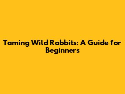 Taming Wild Rabbits: A Guide for Beginners