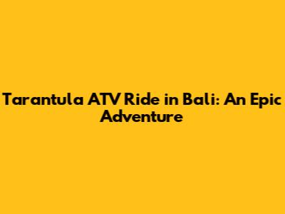 Tarantula ATV Ride in Bali: An Epic Adventure