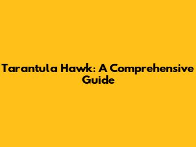 Tarantula Hawk: A Comprehensive Guide
