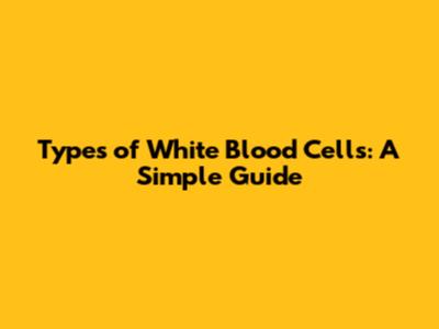 Types of White Blood Cells: A Simple Guide
