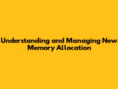 Understanding and Managing New Memory Allocation