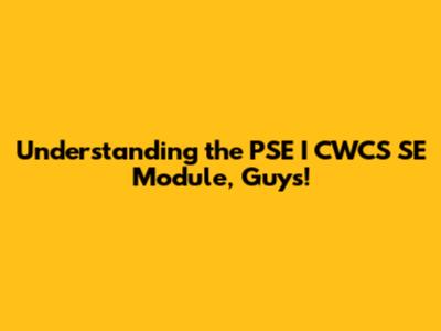 Understanding the PSE I CWCS SE Module, Guys!