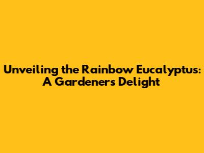 Unveiling the Rainbow Eucalyptus: A Gardener's Delight
