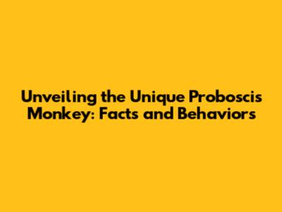 Unveiling the Unique Proboscis Monkey: Facts and Behaviors