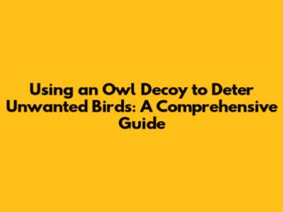 Using an Owl Decoy to Deter Unwanted Birds: A Comprehensive Guide