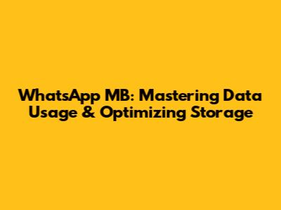 WhatsApp MB: Mastering Data Usage & Optimizing Storage