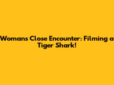 Woman's Close Encounter: Filming a Tiger Shark!