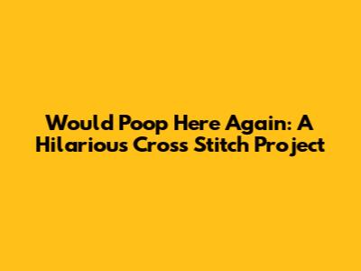 Would Poop Here Again: A Hilarious Cross Stitch Project
